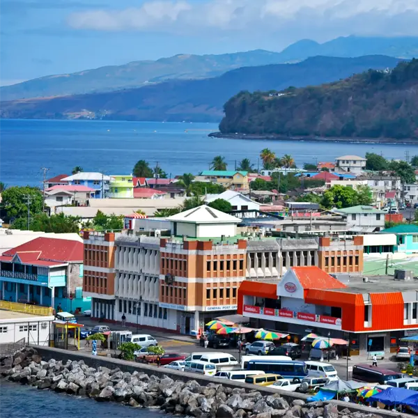 HamiHolding - Dominica